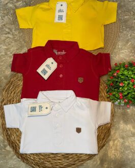 Camisa Gola Polo